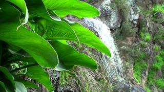 Ingalalla Waterfalls  Yankalilla South Australia [upl. by Jordan]