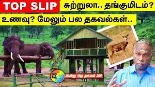 Topslip சுற்றுலா  2023  எழில் கொஞ்சும் அழகு [upl. by Dorothee482]