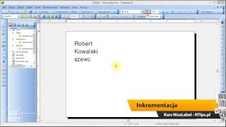 Kurs NiceLabel 04  Baza danych i inkrementacja [upl. by Amis]