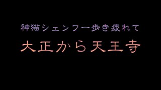 神猫シェンフー歩き疲れて 大正から天王寺 [upl. by Acinoj910]