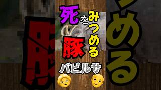 【豚鹿】👵死をみつめる豚 バビルサについて講釈❤ shorts ゆっくり解説 雑学 動物 生き物 [upl. by Ahsayn]