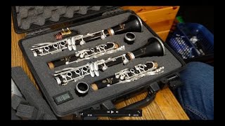 Cracks Humidity DIY Clarinet Case [upl. by Notyal]