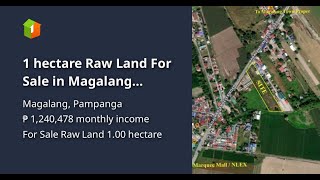 1 hectare Raw Land For Sale in Magalang Pampanga [upl. by Ahsyak]