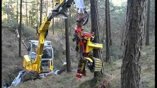 Durchforstung  Thinning works with the Menzi Muck Harvester A71 [upl. by Andi]