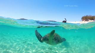 Southern Great Barrier Reef Keppel Explorer [upl. by Marni714]