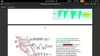 physiologie respiratoire centre respiratoire [upl. by Madriene961]