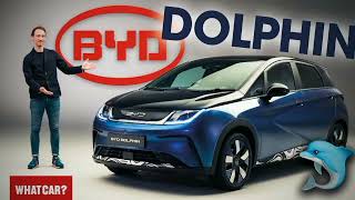 Byd Dolphin in Nepal  डल्फिन किस्तामा कसरी लिने  Monthly Emi amp Downpayment [upl. by Devlen888]