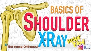 Shoulder X Ray Basics  Shoulder Anatomy  Shoulder Pain  NEET PG  USMLE  The Young Orthopod [upl. by Malaspina271]