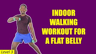 20Minute Indoor Walking Workout for A Flat Belly with Weights [upl. by Ahseirej641]