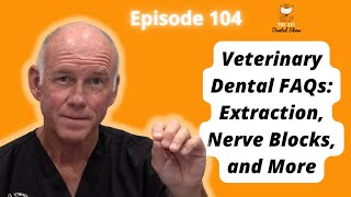 Ep 104  Veterinary Dental FAQs Extraction Nerve Blocks and More [upl. by Carrel]