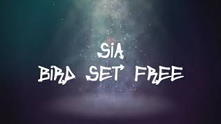 Sia  Bird Set Free Lyrics [upl. by Noislla]