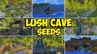 TOP 20 LUSH CAVE Seeds For Minecraft 121 Java amp Bedrock [upl. by O'Mahony378]