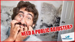 Miami Public Adjuster  Alconero and Associates Public Adjusters [upl. by Derick]