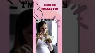 first trimester vs second trimester differences in first and second trimester new in 2nd trimester [upl. by Nasya]