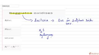 Beggiatoa oxidises [upl. by Atsirk]