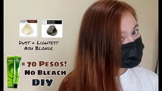 Affordable DIY Hair Color Bremod  No Bleach [upl. by Sweet]