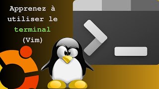 TUTO Maitriser Vim En Seulement 30 Minutes [upl. by Anrym]