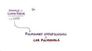 Cor Pulmonale  Osmosis [upl. by Haimarej396]