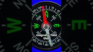 Pointing North Decoding the Science Behind How Compasses Work NavigationMystery [upl. by Elmer136]