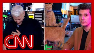 Anderson Cooper completely loses it as John Mayer dials in from a cat bar [upl. by Huppert]