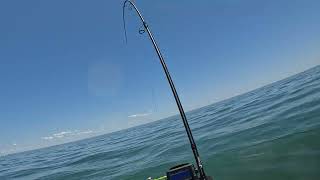 2024 Sea Doo Fish Pro Trophy A few first fish on this rig Montauk NY Fishing [upl. by Kliber]