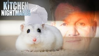 these chefs need a rat under their hat  Kitchen Nightmares [upl. by Esaertal440]