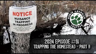 HOMESTEAD TRAPLINE PART 2  2024 EPISODE 61  North American Trapper [upl. by Stillmann]