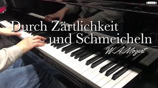 Durch Zärtlichkeit und Schmeicheln Karaoke Accompaniment Die Entführung aus dem Serail Mozart [upl. by Alleuqcaj]