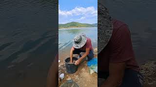 Groundbait mix fitimhajrullahufishing fishing [upl. by Osrick242]