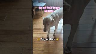 ⭐ Dog Anthem ⭐ dog doglover [upl. by Enirroc618]