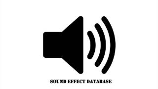 Rattlesnake Tail Sound Effect [upl. by Arundell]