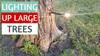 How to install landscape lighting FLOOD LIGHTS ON LARGE TREES [upl. by Natan587]