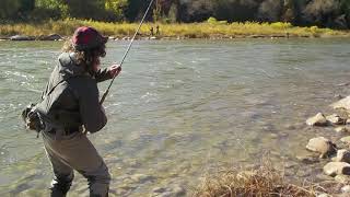 Steelhead Fishing the Saugeen River October  Steelhead Monologues 2020 pt1 [upl. by Shayn]