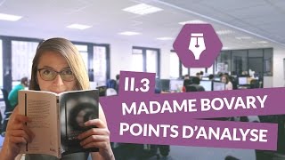 Lecture commentée de Madame Bovary Partie II Chapitre 3 Points d’analyse  Littérature [upl. by Naujled]