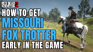 How to get Missouri Fox Trotter EARLY  RDR2 [upl. by Buzz424]