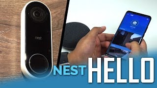 Nest Hello UK  5 Months Later  Review [upl. by Luttrell]