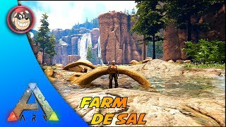 🔵 ARK SURVIVAL EVOLVED  RAGNAROK ONDE ENCONTRAR SAL PARA CONSERVAPTBR [upl. by Ytissac662]