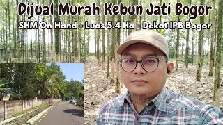 Dijual Murah Tanah Kebun Jati Bogor Dekat Kampus IPB Dramaga Bogor [upl. by Anitac]