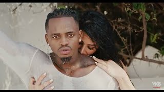 Diamond Platnumz Naanzaje official video [upl. by Ylra]