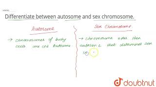 Differentiate between autosome and sex chromosome [upl. by Ennaehr]