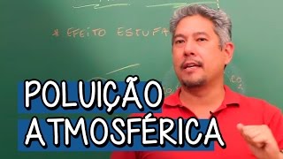 Poluição Atmosférica Efeito Estufa  Extensivo Biologia  Descomplica [upl. by Yeneffit876]