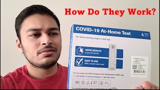 How Do Rapid COVID19 Antigen Tests Actually Work  Doctor Squared [upl. by Aisnetroh]