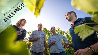 Weinprobe Weinkeller Führungen Weinwanderung  Erlebnis amp Urlaub im Weingut Walter J Oster Mosel [upl. by Ttiwed263]