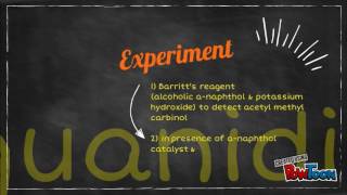 Enterobacter aerogenes VM1G1T1 [upl. by Cirdla487]