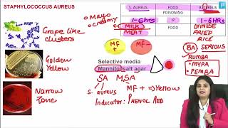 Microbiology LRR  Dr Preeti Maam  INICETFMGE NEETPG [upl. by Mohammad282]