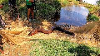 Primera pesca en Colombia pescamos anguilas gigantes eléctricas y muchos peces [upl. by Slaughter]