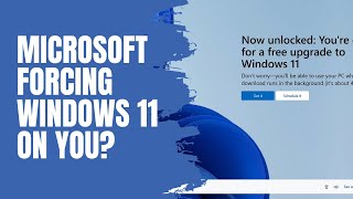 Windows 10 User Watch This Video [upl. by Wilfred915]