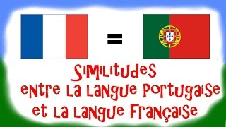 Cours de Portugais  Vidéo 3  Similitudes entre la langue portugaise et la langue française [upl. by Ahsekat]