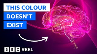 Magenta The colour that doesnt exist – BBC REEL [upl. by Gweneth]