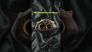 The Scatman meme cat scatman funny catman edit memes [upl. by Ekaj485]